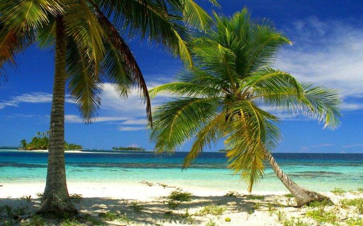 nature, Landscape, Palm Trees, Beach, Island, Sea, Tropical, Summer, Panama HD Wallpaper Desktop Background