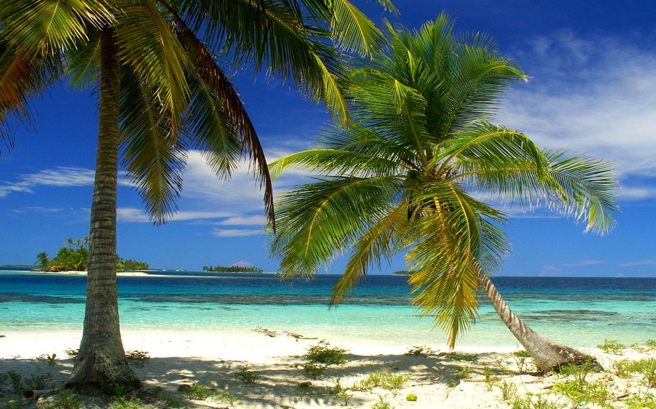 nature, Landscape, Palm Trees, Beach, Island, Sea, Tropical, Summer, Panama Wallpaper