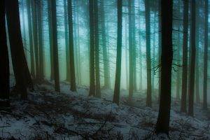nature, Landscape, Snow, Forest, Mist, Hill, Sunrise, Winter, Cold, Trees, Italy, Atmosphere