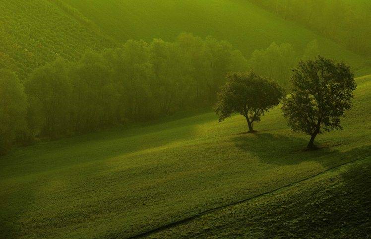 landscape, Trees, Grass HD Wallpaper Desktop Background