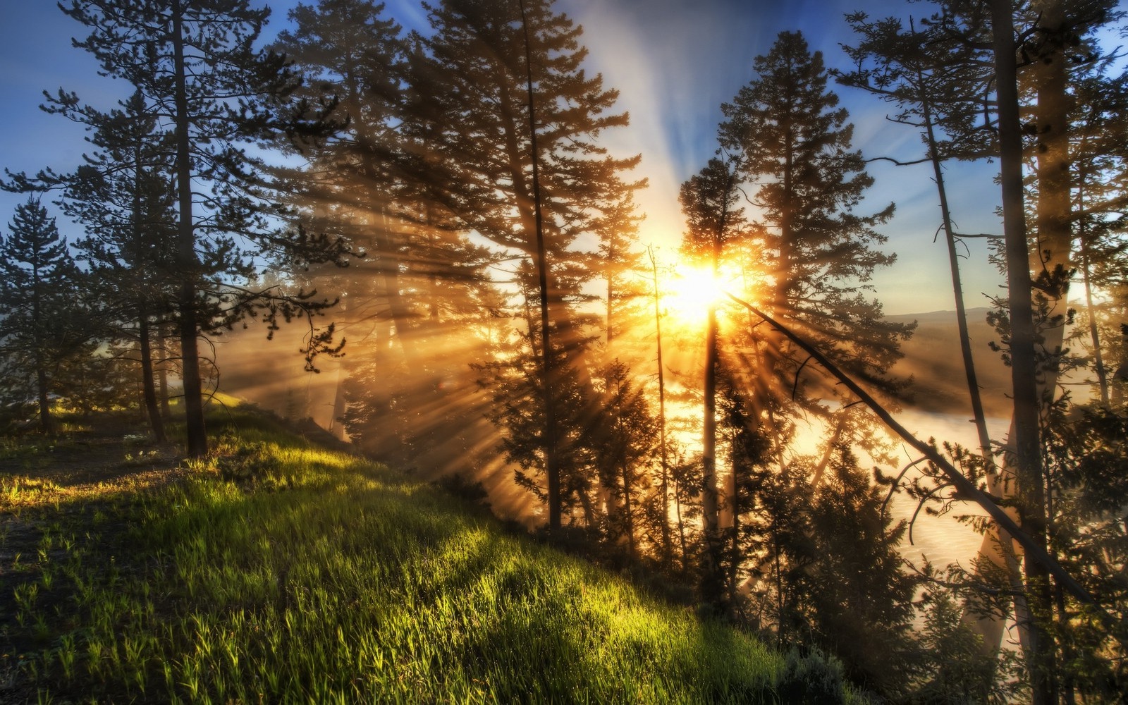 nature, Landscape, Sunrise, Sun Rays, Mist, Trees, Green, Grass, Path, Yellowstone National Park Wallpaper