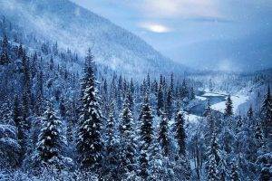 nature, Landscape, Mist, Forest, Mountain, River, Snow, Winter, Cold, Alaska, Trees