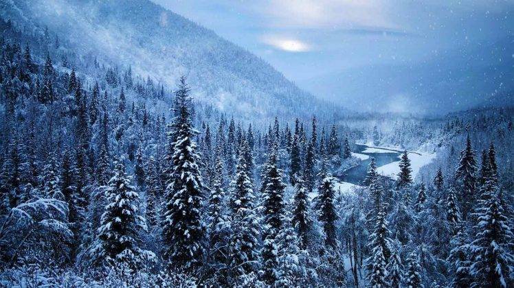 nature, Landscape, Mist, Forest, Mountain, River, Snow, Winter, Cold, Alaska, Trees HD Wallpaper Desktop Background
