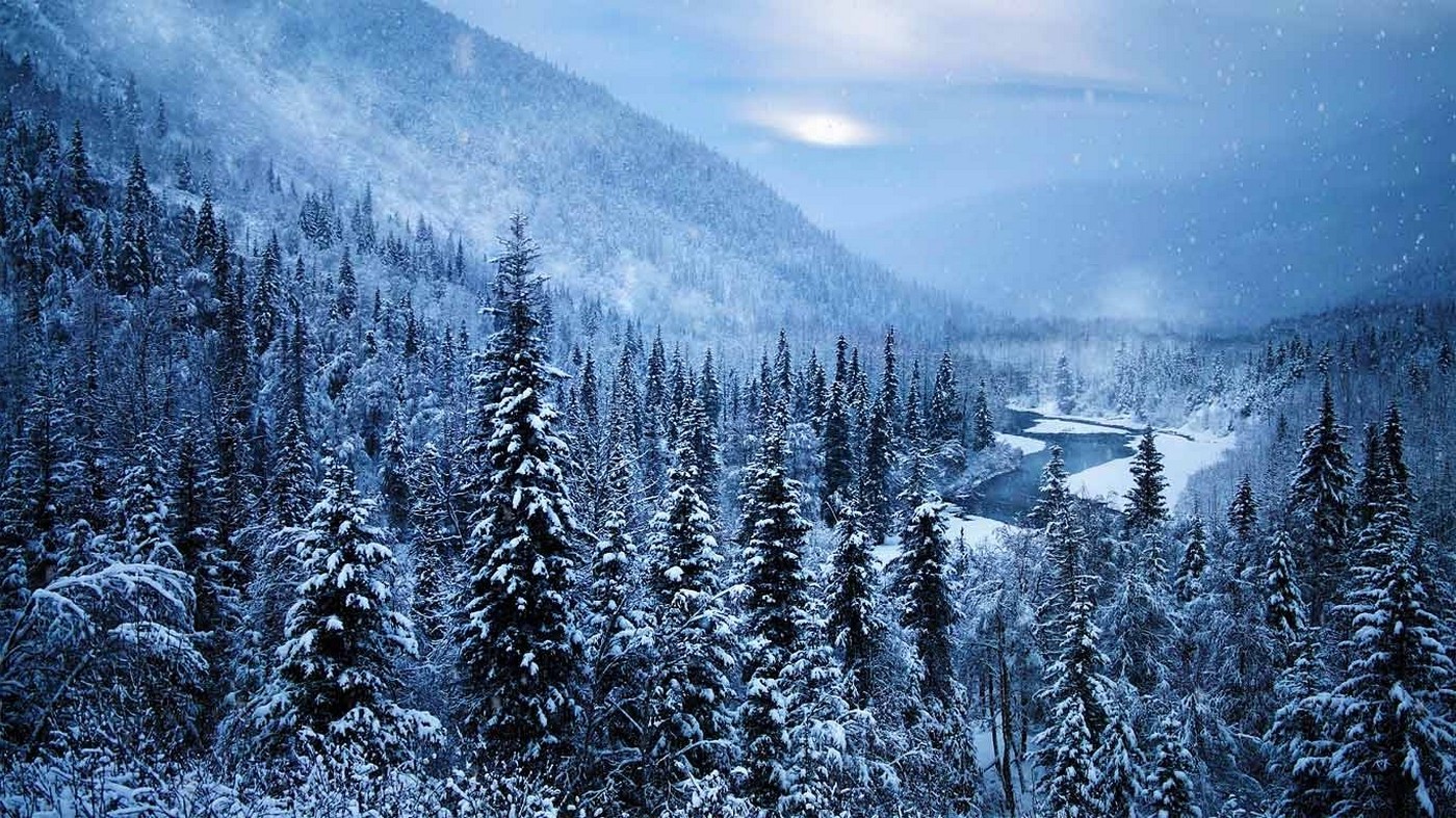 nature, Landscape, Mist, Forest, Mountain, River, Snow, Winter, Cold, Alaska, Trees Wallpaper