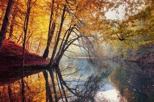 nature, Landscape, Fall, Trees, Yellow, Red, Leaves, Mist, River, Water, Reflection, Turkey, Colorful, Forest