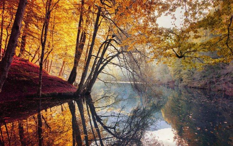 nature, Landscape, Fall, Trees, Yellow, Red, Leaves, Mist, River, Water, Reflection, Turkey, Colorful, Forest HD Wallpaper Desktop Background