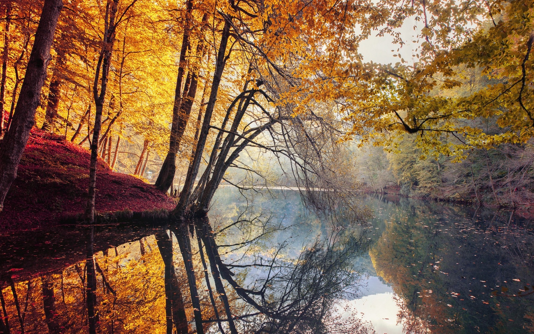 nature, Landscape, Fall, Trees, Yellow, Red, Leaves, Mist, River, Water, Reflection, Turkey, Colorful, Forest Wallpaper