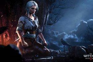 video Games, The Witcher 3: Wild Hunt, Artwork, Ciri