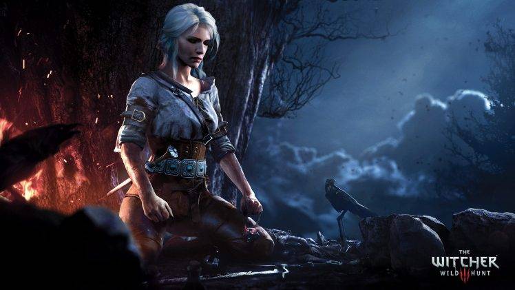 video Games, The Witcher 3: Wild Hunt, Artwork, Ciri HD Wallpaper Desktop Background