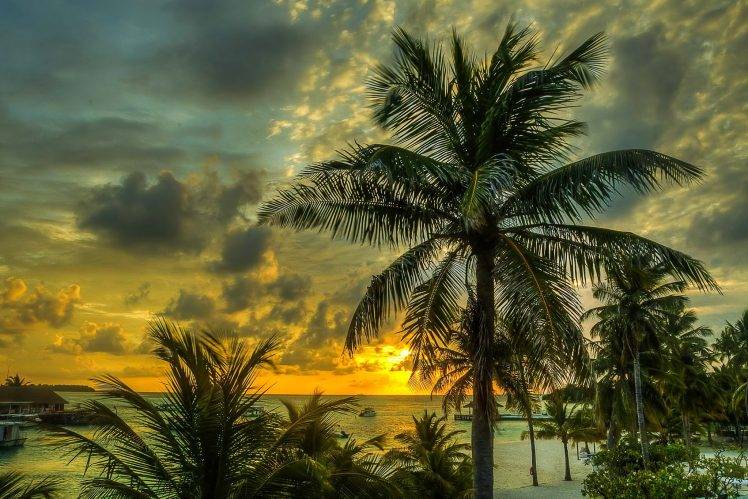 landscape, Palm Trees, Maldives HD Wallpaper Desktop Background