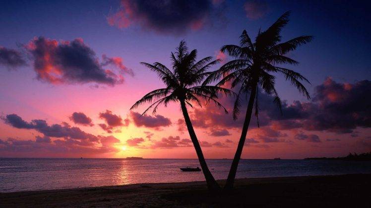 landscape, Silhouette, Clouds, Sea, Palm Trees HD Wallpaper Desktop Background