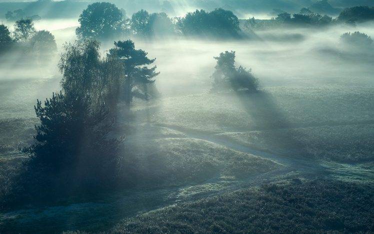 nature, Landscape, Sunrise, Field, Mist, Blue, Trees, Sunlight, Grass HD Wallpaper Desktop Background