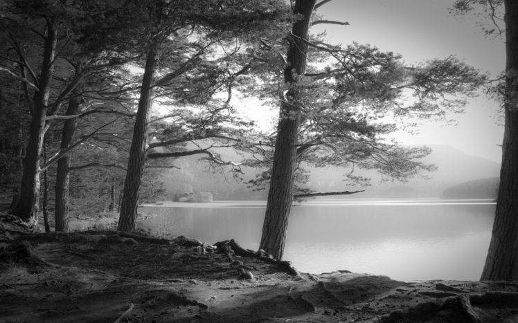 nature, Landscape, Lake, Sunrise, Trees, Mist, Scotland, Hill, Monochrome HD Wallpaper Desktop Background