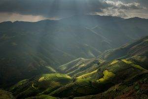 nature, Landscape, Rice Paddy, Sun Rays, Mountain, Terraces, Field, Clouds, Mist, Valley, Vietnam
