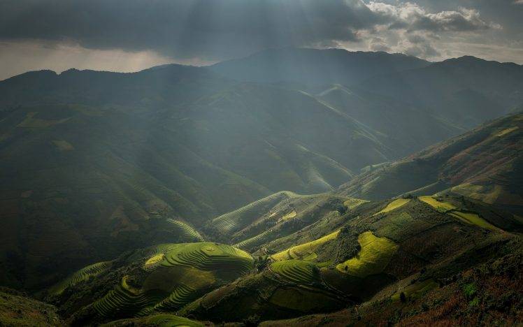 nature, Landscape, Rice Paddy, Sun Rays, Mountain, Terraces, Field, Clouds, Mist, Valley, Vietnam HD Wallpaper Desktop Background