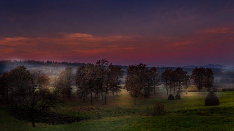 nature, Landscape, Fall, Mist, Evening, Field, Grass, Trees, Red, Clouds HD Wallpaper Desktop Background
