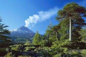 nature, Landscape, Trees, Volcano, Forest, Smoke, Snowy Peak, Chile, Daylight, Blue, Sky