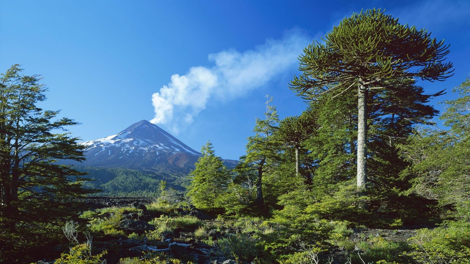 nature, Landscape, Trees, Volcano, Forest, Smoke, Snowy Peak, Chile, Daylight, Blue, Sky Wallpaper