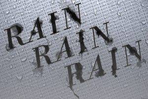 rain, Wet, Typography, Monochrome