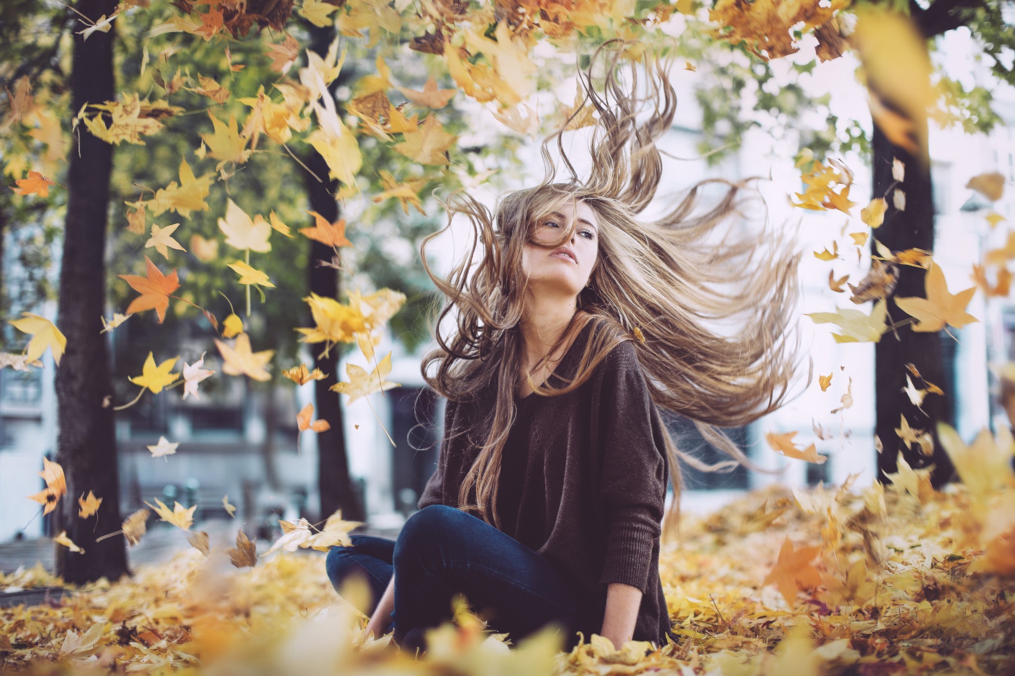 women, Brunette, Women Outdoors, Leaves, Fall, Windy, Long Hair Wallpaper