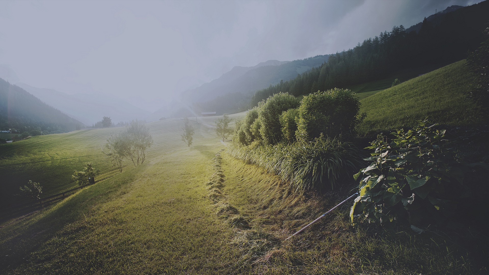 landscape Wallpaper