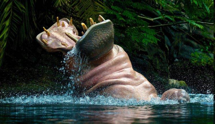 animals, Hippos HD Wallpaper Desktop Background
