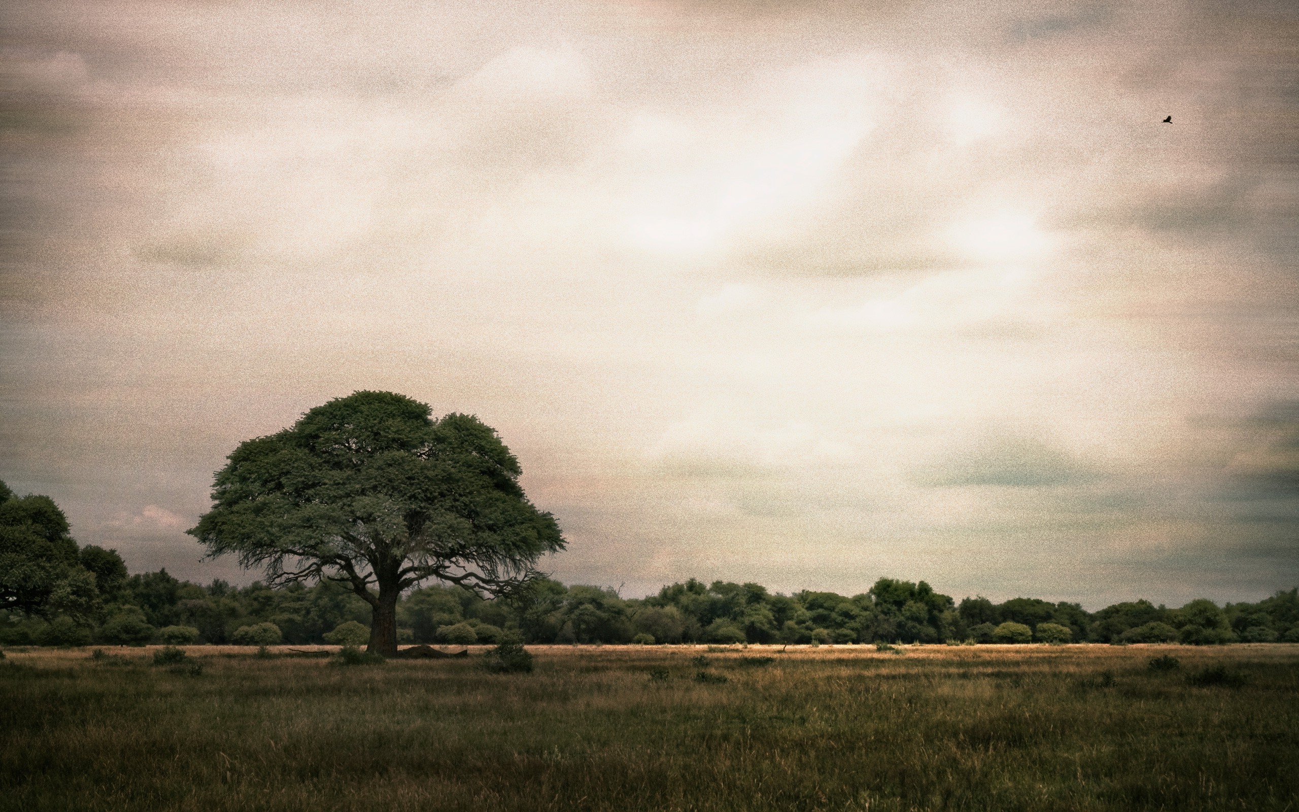 landscape Wallpaper