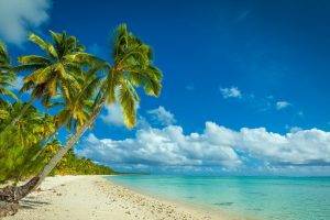 nature, Landscape, Beach, Sea, Island, Palm Trees, Tropical, Clouds, White, Sand, Summer