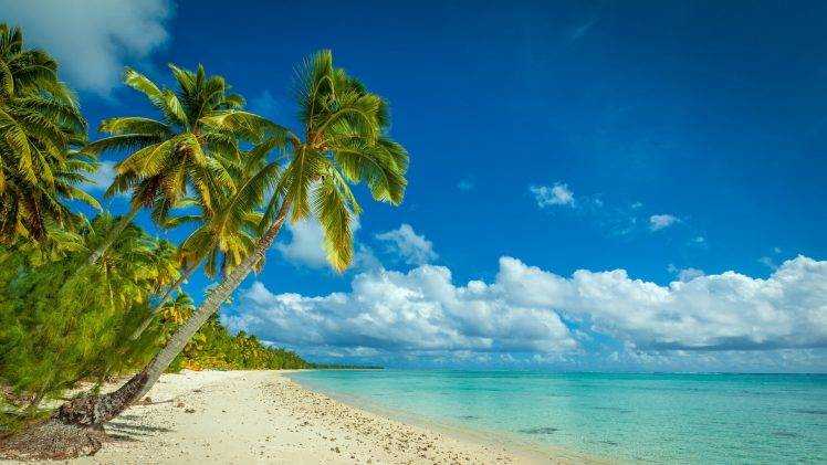 nature, Landscape, Beach, Sea, Island, Palm Trees, Tropical, Clouds, White, Sand, Summer HD Wallpaper Desktop Background