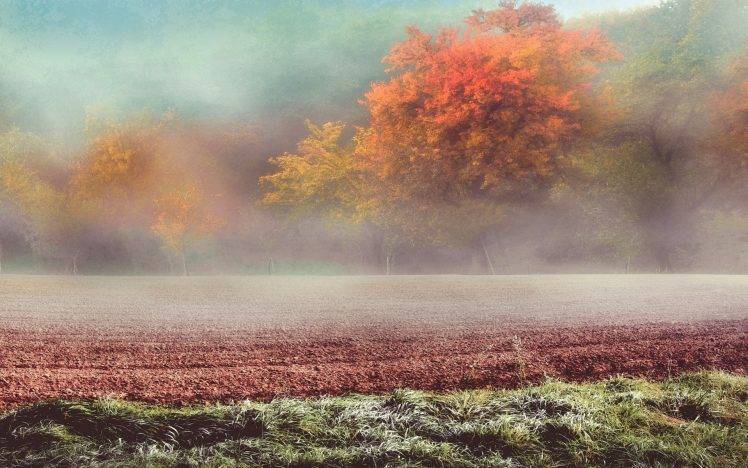 nature, Landscape, Frost, Field, Grass, Trees, Mist, Fall, Hill, Sunrise, Austria, Cold HD Wallpaper Desktop Background