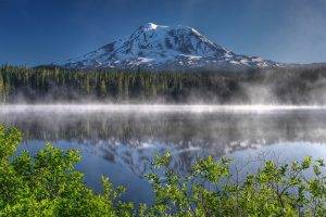 nature, Landscape, Mountain, Mist, Snowy Peak, Trees, Forest, Washington State, USA, Lake, Pine Trees, Reflection, Morning, Branch, Leaves