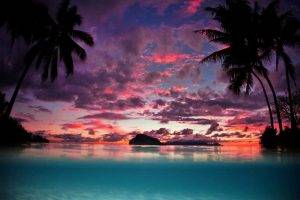landscape, Nature, Tahiti, Sunset, Palm Trees, Island, Beach, Sea, Tropical, Sky, Clouds, Turquoise, Water