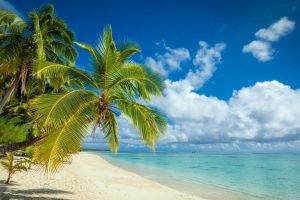 nature, Landscape, Tropical, Island, Beach, Palm Trees, White, Sand, Sea, Summer, Clouds