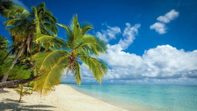 nature, Landscape, Tropical, Island, Beach, Palm Trees, White, Sand, Sea, Summer, Clouds HD Wallpaper Desktop Background