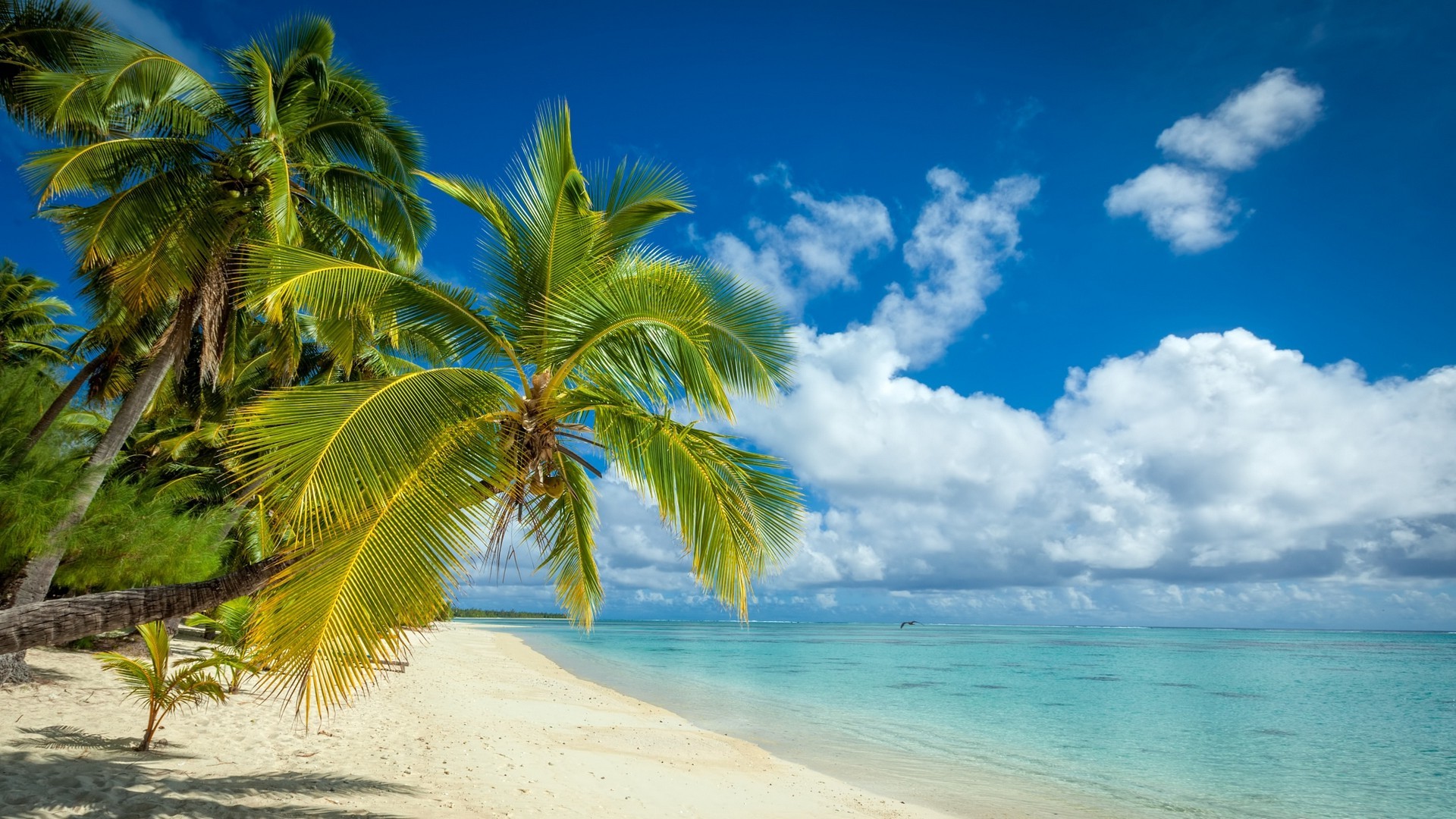 nature, Landscape, Tropical, Island, Beach, Palm Trees, White, Sand, Sea, Summer, Clouds Wallpaper