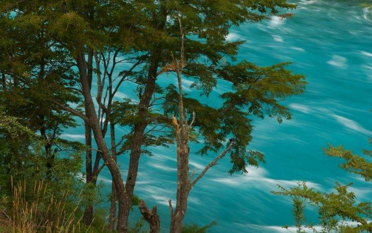 landscape, Nature, Turquoise, River, Chile, Trees, Water, Summer HD Wallpaper Desktop Background