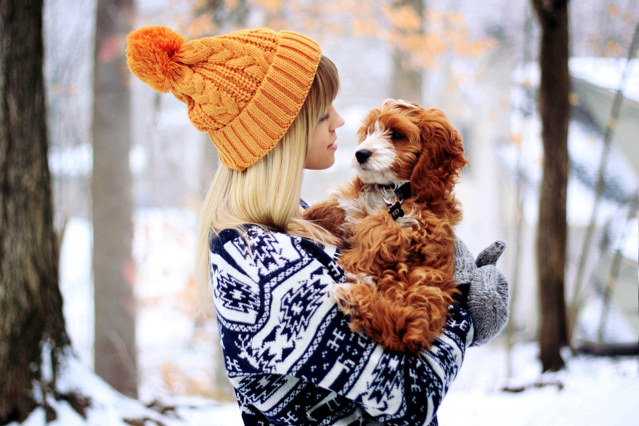 snow, Gloves, Dog, Women, Bonnet Wallpaper