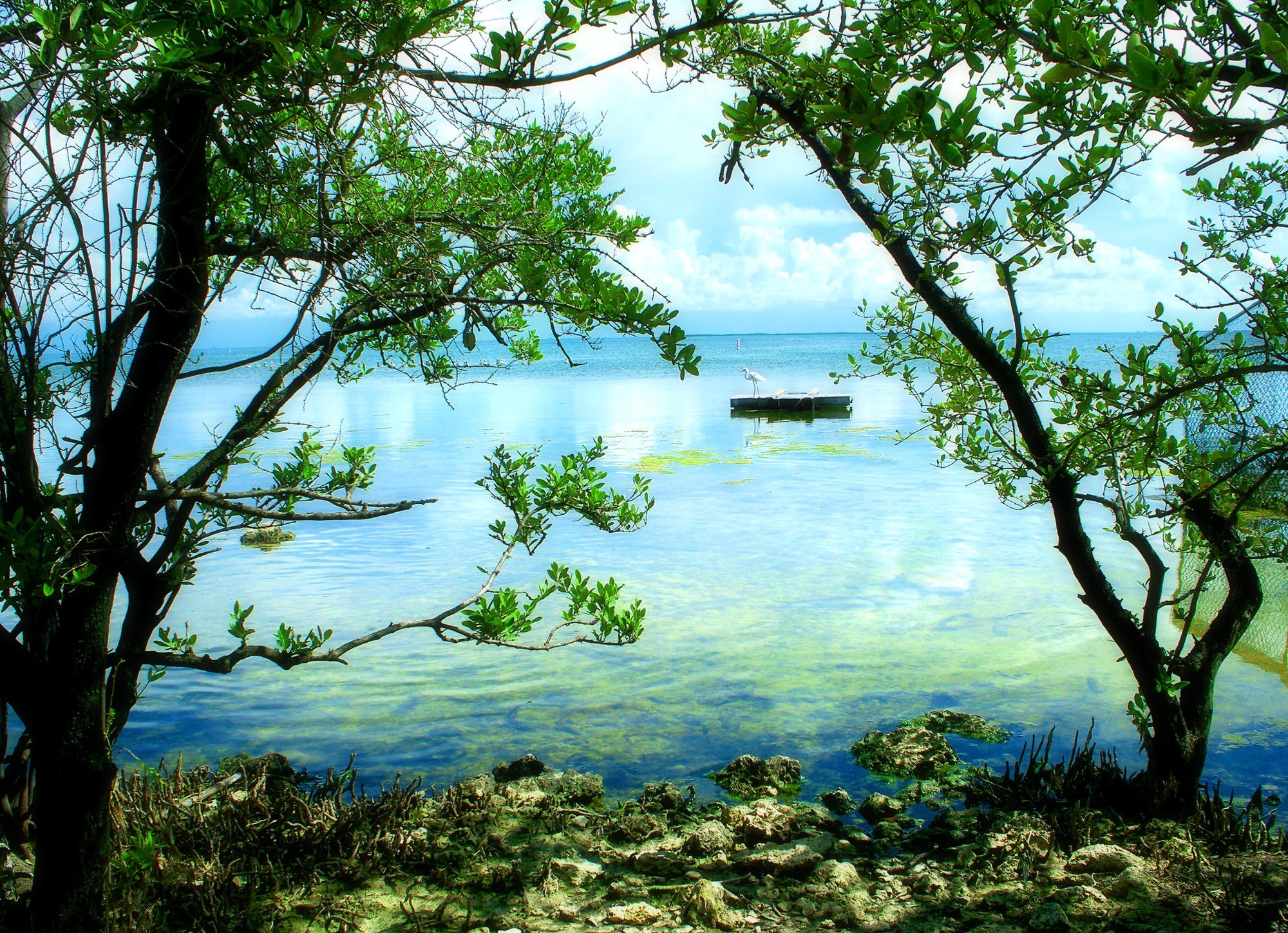 landscape Wallpaper