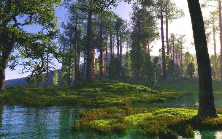 nature, Landscape, Trees, River, Grass, Green, Calm, Sunlight HD Wallpaper Desktop Background