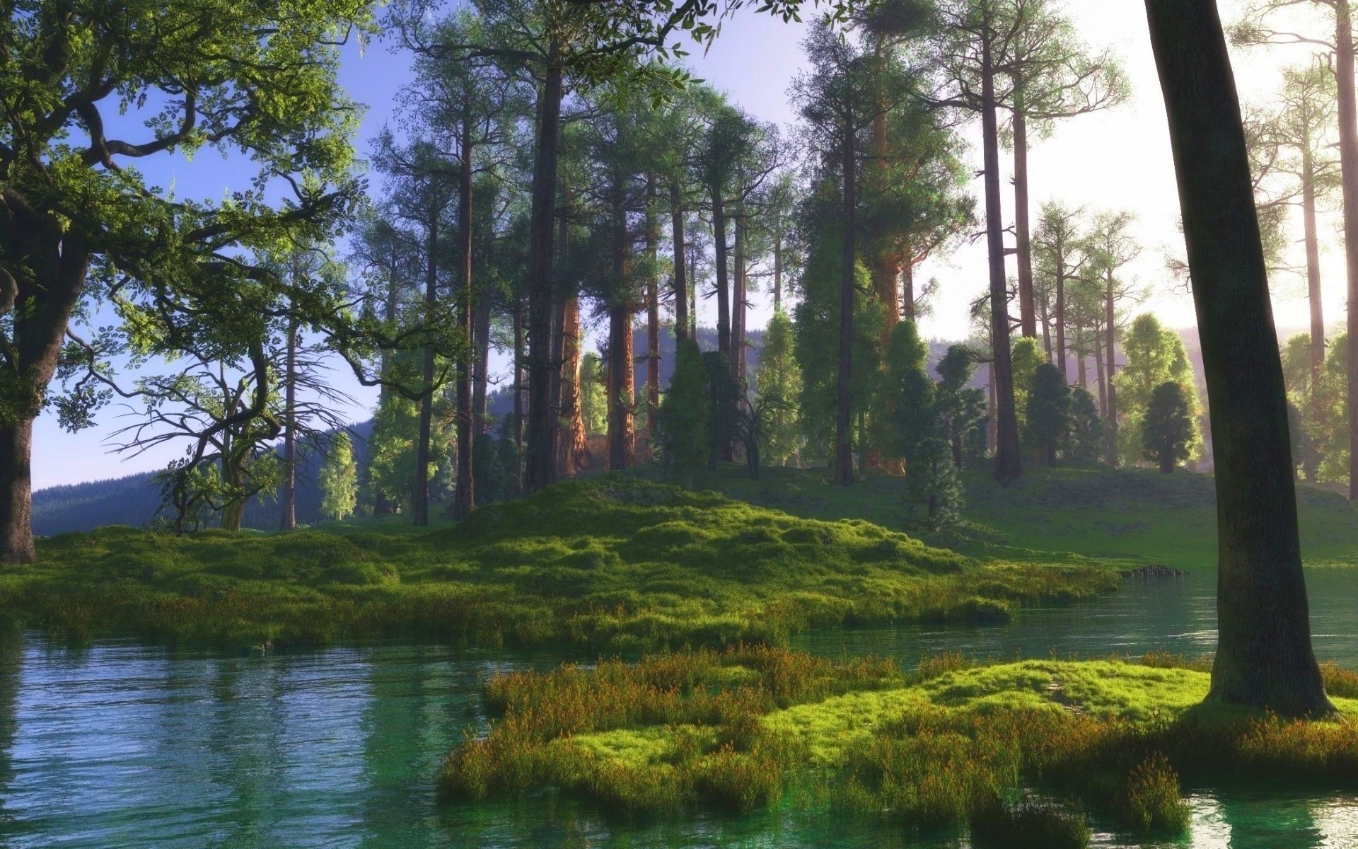 nature, Landscape, Trees, River, Grass, Green, Calm, Sunlight Wallpaper