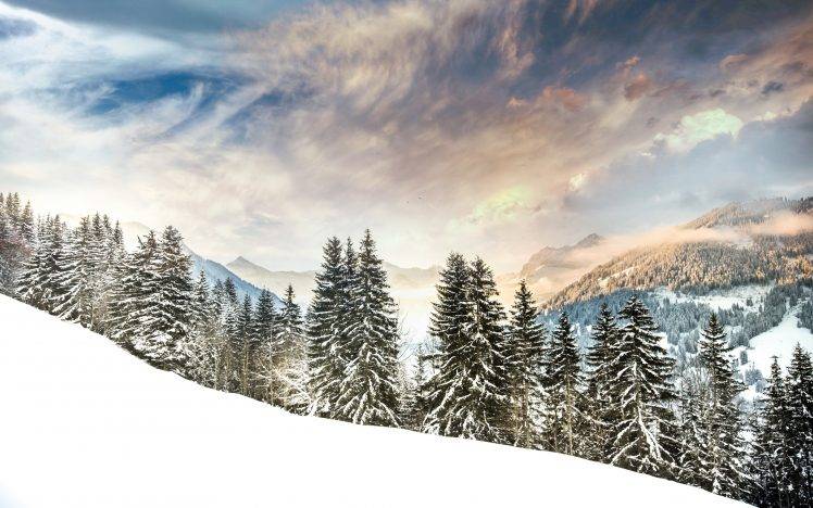 trees, Snow, Landscape HD Wallpaper Desktop Background