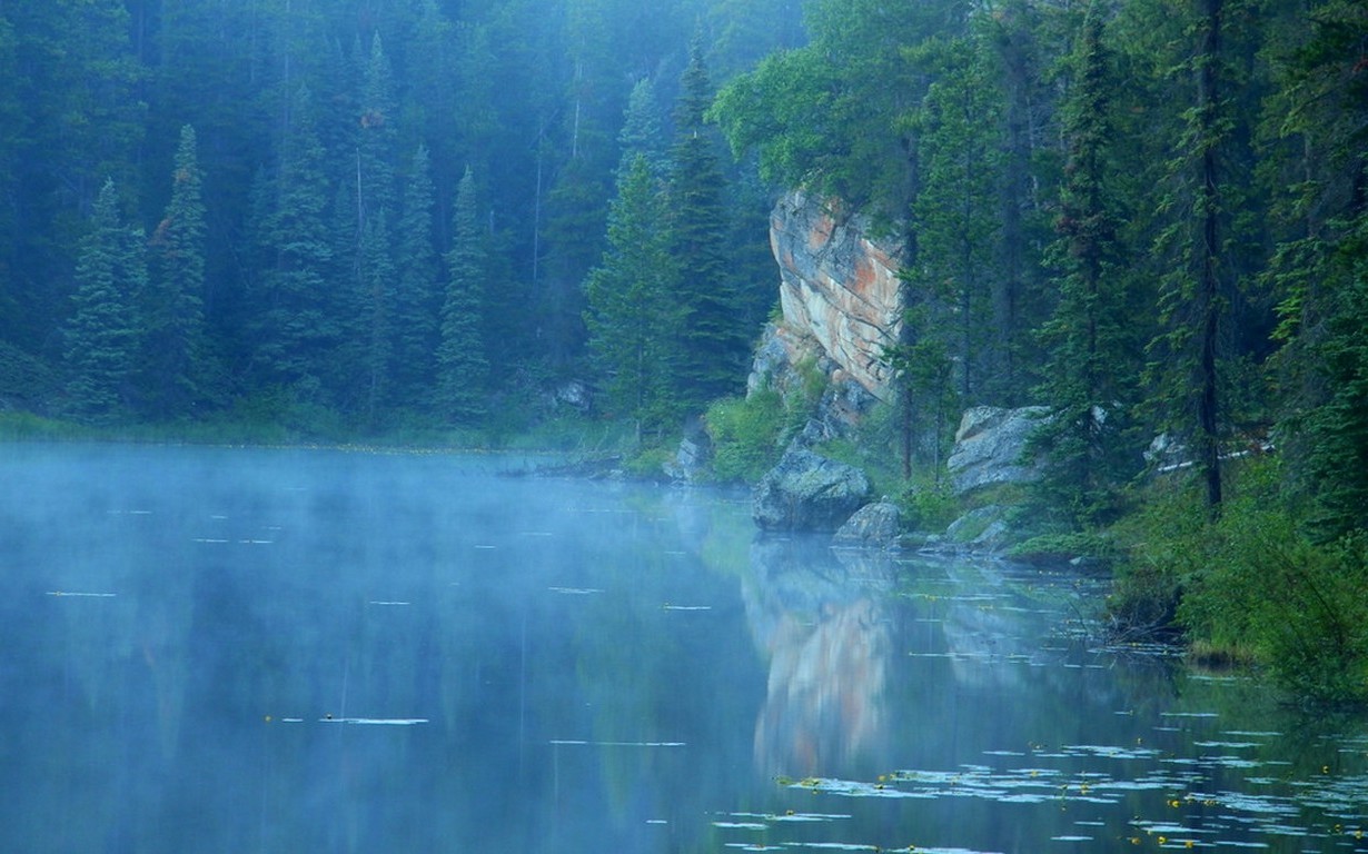 landscape, Nature, Lake, Blue, Mist, Forest, Morning, Jasper National Park, Canada Wallpaper