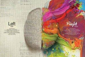 brains, Creativity, Splitting, Colorful, Mathematics, Paint Splatter, Quote