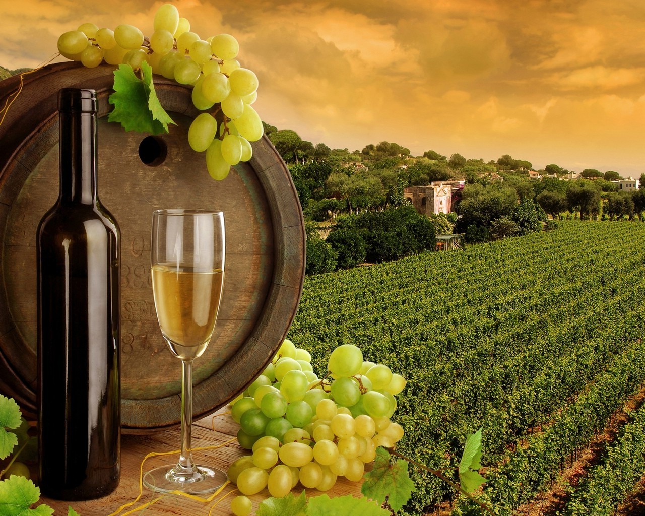 landscape, Wine Wallpaper