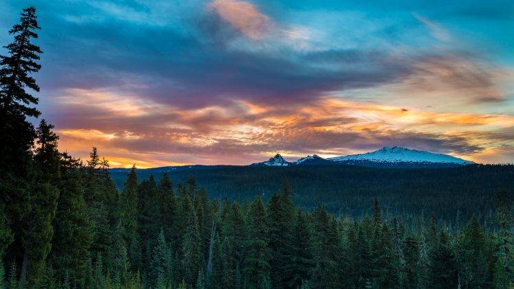 Oregon, Landscape, Trees HD Wallpaper Desktop Background