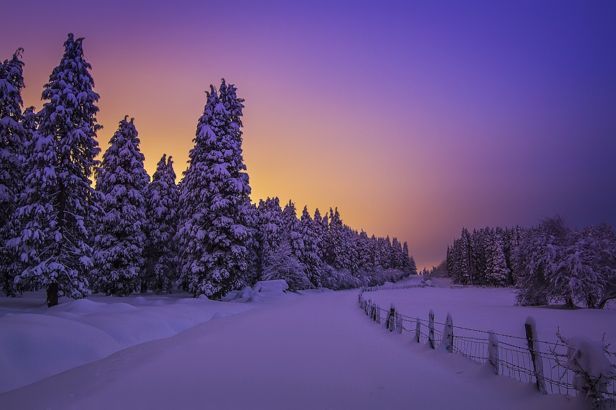 landscape, Trees, Snow, Winter Wallpaper