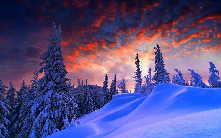snow, Landscape, Trees HD Wallpaper Desktop Background
