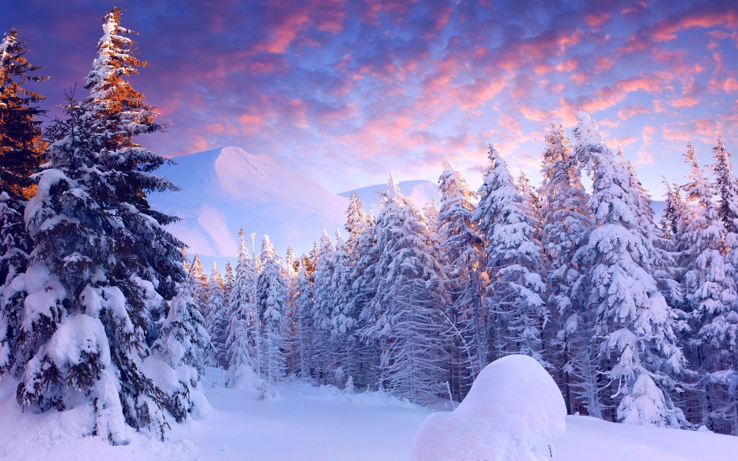 snow, Landscape, Trees Wallpaper
