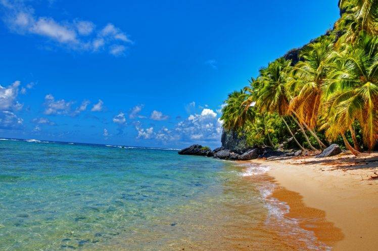 beach, Landscape, Palm Trees, Tropical HD Wallpaper Desktop Background