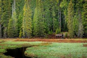 landscape, Oregon, Mount Hood